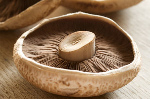 'Mushies' prove a vitamin D powerhouse