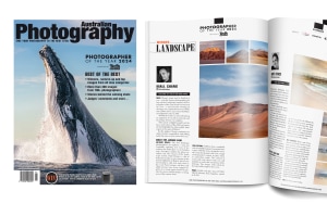 Special offer: Get a 12-month AP mag subscription for just $32!