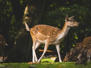 3 reasons why you should shoot RAW (Part two)