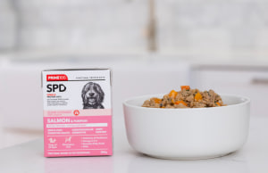 Prime100 first to launch pet food range in Tetra Recart