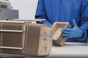Proseal takes lead in sustainable tray formats