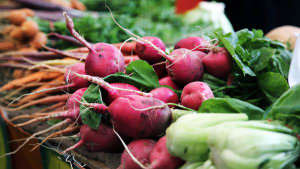 Buyers view Queensland produce for export