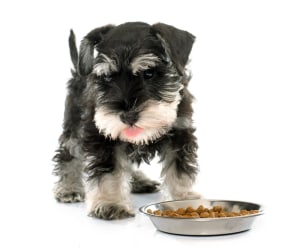Pet food perfection all sorted
