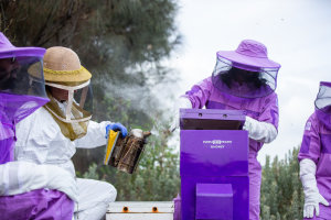 Purple Hive Project takes over Port of Melbourne