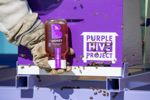 Port of Townsville bolsters Purple Hive Project