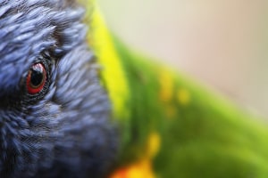 Power of perspective - better wildlife photography (Part two)
