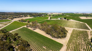 Australian Vintage offloads and exits vineyards