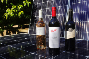 Treasury Wine Estates joins RE100