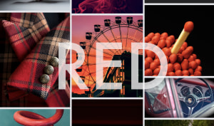July free monthly photo comp 'Red' - The winners!