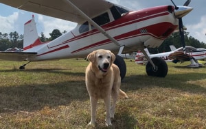 FRIDAY FLYING VIDEO: Reklaw 2021