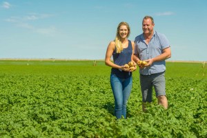 Pye Group invests $35m in potato packing plant