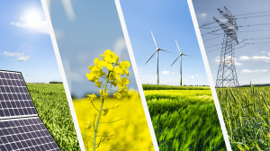 Renewables roadmap