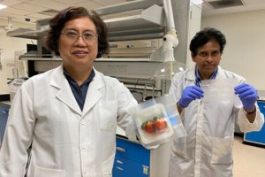 Scientists develop antimicrobial food packaging