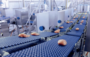 Best value for poultry fillets