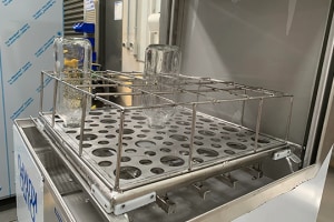 Rhima cleans up at AUSPACK
