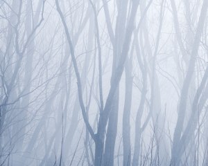 The minimalist landscape: The art of less (Part two)