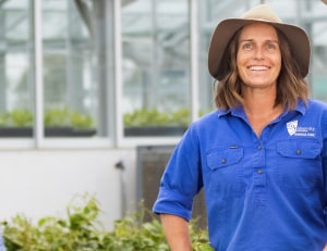 $2m national program for emerging sesame industry