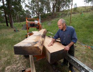 A forum for tree growers and tree lovers