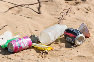 Phase out problem plastic, halve pollution: Report