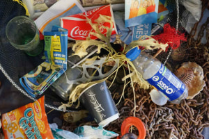 Calls for alternatives, ban on takeaway plastics