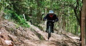 Philip Ruddock rides Hornsby... sort of