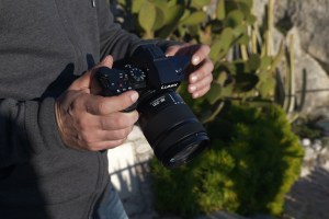 Review: Panasonic Lumix S 28-200mm f/4-7.1 lens