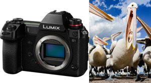 Review: Panasonic Lumix S1