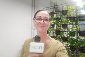 PLAY CCN: Video News Bulletin 17 February