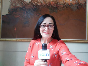 PLAY CCN: Video News Bulletin 4 November
