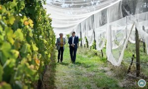 Sustaining Australia TV series returns for 4th season
