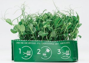 Schur Star system sprouts fresh peas in a bag