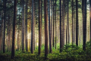 Local spotlight: Sydney photographer Alfonso Calero's latest exhibition 