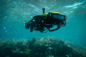 World-first autonomous marine systems course to run in Townsville