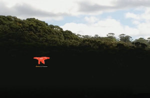 DroneShield and UTS collaborate under Defence Innovation Network program