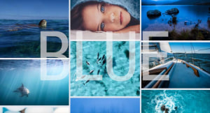 January 'Blue' free monthly photo comp: the shortlist! 