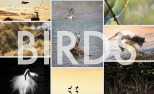 September free monthly photo comp - The winners!