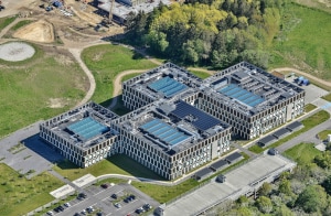 Novozymes, Chr. Hansen combine for global presence
