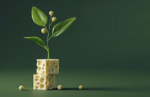 NewMoo unlocks new casein production method