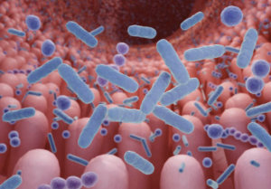 ADM probiotic receives Australian health approval
