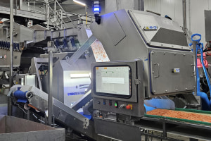 Removing frozen food defects with optical sorting