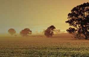 Agriculture production grows in Australia