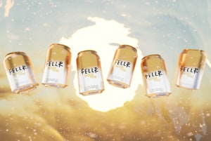 Fellr forays into ginger beer