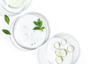 Cultured meat research leaps forward