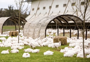 WA grants help grow local food and drink businesses