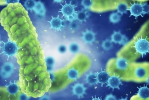 Bringing food microbiology to the forefront