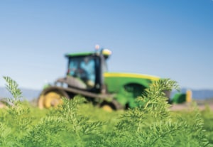 AUSVEG industry update: growers leave as value drops