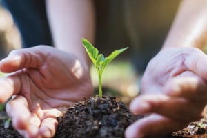 Government takes first step towards National Food Strategy