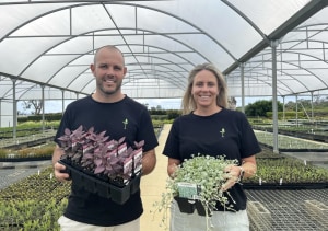 Hort Innovation launches new agrifood mentorship program