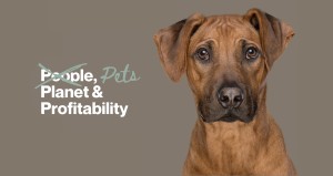 Sustainability: the next frontier in pet food