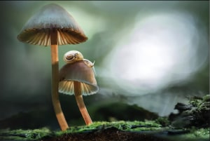 The timelapse footage that took 15 years to create